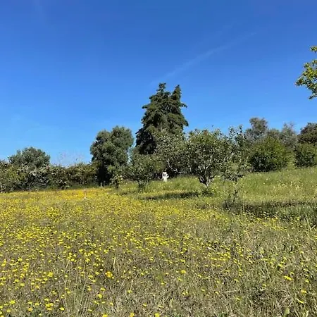 Unique Experience For Families And Nature Lovers Holiday home Aldeia de Sao Pedro