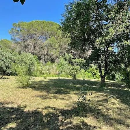 Unique Experience For Families And Nature Lovers * Aldeia de São Pedro