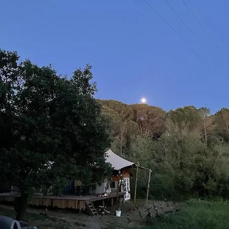 Unique Experience For Families And Nature Lovers