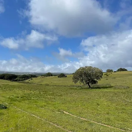 Unique Experience For Families And Nature Lovers *